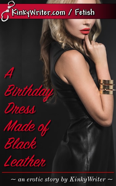 Book Cover for A Birthday Dress Made of Black Leather (by KinkyWriter)