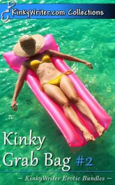 Book Cover for Kinky Grab Bag #2 (by KinkyWriter)