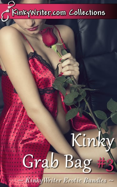 Book Cover for Kinky Grab Bag #3 (by KinkyWriter)