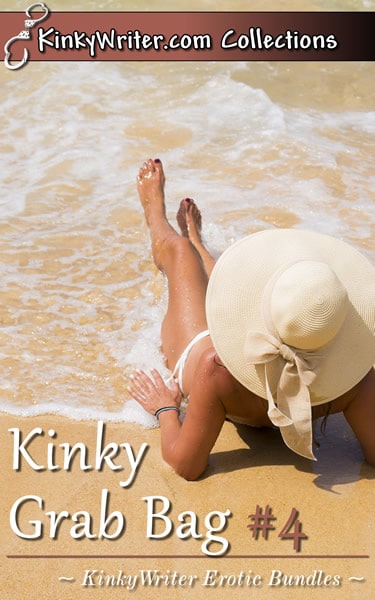 Book Cover for Kinky Grab Bag #4 (by KinkyWriter)