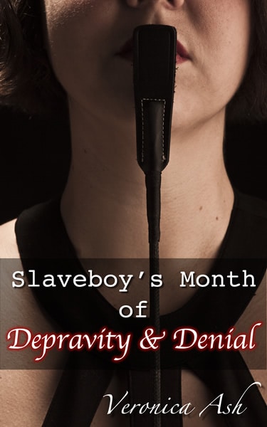 Book Cover for Slaveboy's Month of Depravity & Denial (by Veronica Ash)