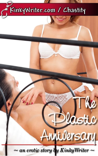 Book Cover for The Plastic Anniversary (by KinkyWriter)
