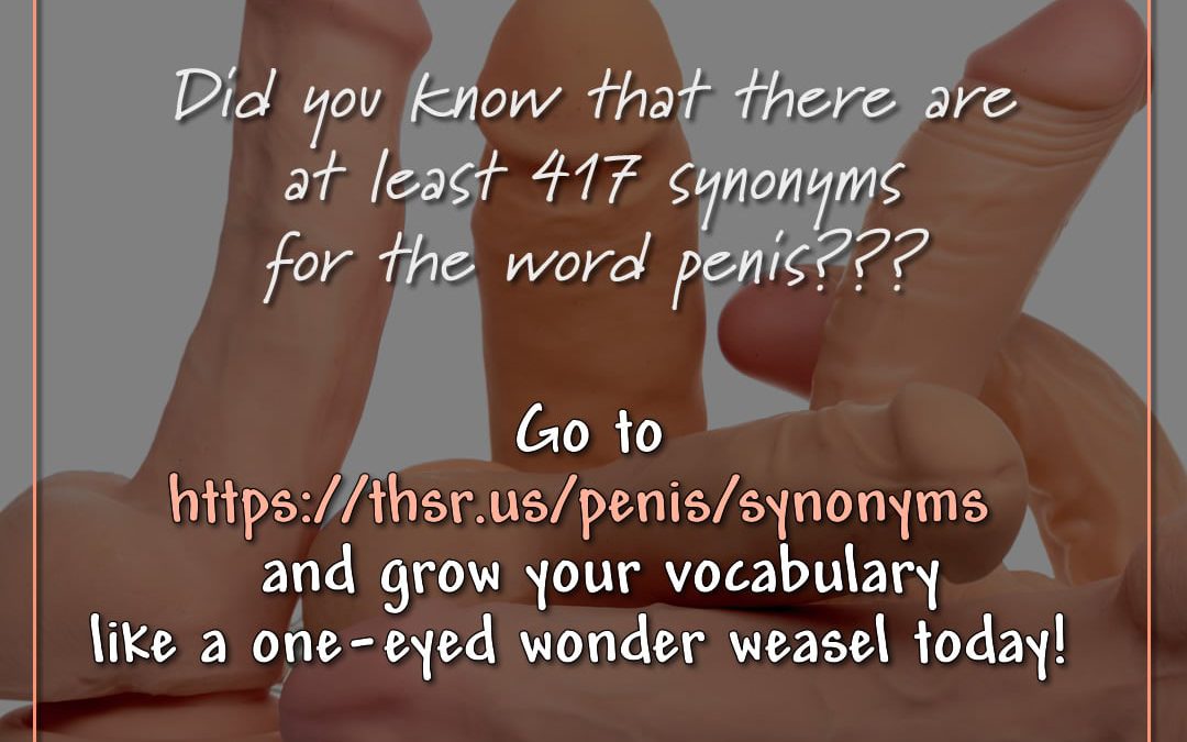 Did You Know #Erotica?! – Thesaurus Edition