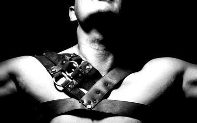Leather Solitude