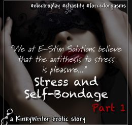 "We at E-Stim Solutions believe that the antithesis to stress is pleasure..."
