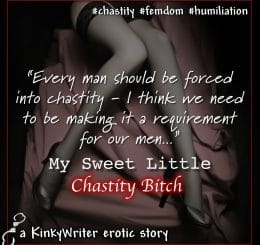"Every man should be forced into chastity - I think we need to be making it a requirement for our men..."